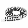Produktbild: SCREW REBEL Magazinierte Schnellbauschrauben Grobgewinde 3,9 x 41 mm - 10.000 Stück, Magazinschrauben, PH2