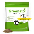 Produktbild: Rasen Nachsaat Greenato Dryland 1kg Grassamen – Turbo-Nachsaat Rasennachsaat trockenresistenter Rasensamen schnellkeimend Frühjahr und Herbst Trockenrasen Rasen lückendicht ausreichend für 40m²-100m²