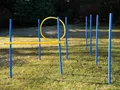 Produktbild: Procyon Agility-Slalom Hundetraining, Hundeparcour, 10 teilig, Slalom-Stangen, Hürde und Ring