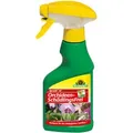 Produktbild: Spruzit Af Orchideen Schädlingsfrei - 250 Ml - Neudorff