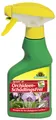 Produktbild: Neudorff Spruzit AF OrchideenSchädlingsFrei 250ml