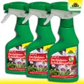 Produktbild: Neudorff Spruzit AF 3 x 250 ml OrchideenSchädlingsFrei | Pumpspray