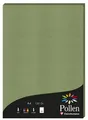 Produktbild: Pollen by Clairefontaine Papier DIN A4 120 g/qm salbeigrün 50 Blatt