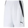 Produktbild: PUMA Sporthose PUMA teamLIGA Short Kids Shorts Kinder teamLIGA rot|schwarz 152
