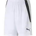Produktbild: Puma Teamliga Shorts Jr puma white-puma black (04) 152
