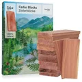 Produktbild: Zedernholz Mottenschutz für Kleiderschrank : 16 Zedernholz Duft Blöcke als Kleiderschrank Mottenschutz und natürlicher Kleiderschrank Duft – Kleiderschrank Dufterfrischer – Cedarwood von Inovida