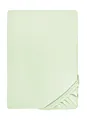 Produktbild: biberna 0077144 Spannbetttuch Feinjersey (Matratzenhöhe max. 22 cm), gekämmte Baumwolle, superweich 1x 140x200 cm > 160x200 cm mint