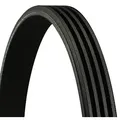 Produktbild: CONTINENTAL CTAM Keilrippenriemen 4pk790 für Opel DAEWOO Fiat SMART BMW DAIHATSU HONDA MAN MITSUBISHI Suzuki TOYOTA