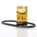 Produktbild: CONTINENTAL CTAM Keilrippenriemen Rippenriemen Keilriemen 4PK790