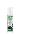 Produktbild: RAUSCH Volume Styling Lotion fresh Spray 150 ml