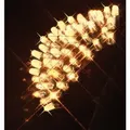 Produktbild: LED-System Lichterkette schwarz, Licht warmweiß 465-06 85lm