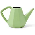 Produktbild: Capi Gießkanne Doppio Xala Smooth 2 l Altgrün