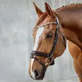 Produktbild: SUNRIDE schwedische Trense für Pferde (Aspen) - mit Zügeln - weiches Echtleder - extra Polsterung - anatomisch, verstellbar - Lack am Nasenriemen - handgefertigt - rostfrei - braun (Pony)