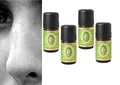 Produktbild: Primavera Riechtraining Set 4 ätherische Öle 100% naturreine Qualität Set 1