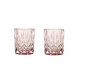 Produktbild: Nachtmann Schnapsglas Nachtmann Noblesse Colors Whiskybecher Rosè 2er Set, Glas