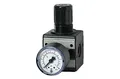 Produktbild: RIEGLER 100418-R 11-16 Druckregler »multifix«, inkl. Manometer, BG 1, G 1/4, 0,5-16 bar, 1Stk