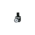 Produktbild: Riegler Druckregler »multifix« inkl. Manometer BG 1 G 1/4 0,5-16 bar