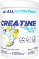Produktbild: ALL NUTRITION Allnutrition Creatine Monohydrat Muscle Max 500g Pulver Pulver