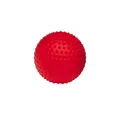 Produktbild: Togu Spielball Igelball Senso Ball Mini, Ball vielseitig für gymnastische Übungen einsetzbar