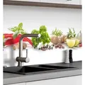 Produktbild: MyMaxxi Küchenrückwand Küchenrückwand selbstklebend Gewürze Gemüse Spritzschutz Folie, (Klebefolie passend geschnitten und gerollt B 120 cm x H 60 cm), Gewürze Gemüse B 120 cm x H 60 cm bunt 120 cm x 60 cm