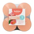 Produktbild: Bolsius Maxi-Lichte transparent 8 Stunden 8er Pack True Scents Pfirsich