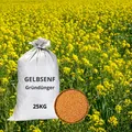 Produktbild: Gelbsenf 25 kg ganze Körner weißer Senf ganz Bienenfreundlicher Gründünger gelb