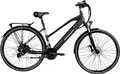 Produktbild: Zündapp E-Bike Trekking Z810 28 Zoll 8-Gang 550 Wh schwarz matt
