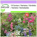 Produktbild: SAFLAX - Wildblumen: Schattengewächse - 1000 Samen - 19 Wildflower Mix