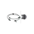 Produktbild: HELLA Sensor, Raddrehzahl 6PU 012 679-961 für MERCEDES-BENZ, Hinterachse, links