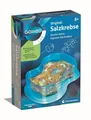 Produktbild: Clementoni Galileo Lab Original Salzkrebse - Züchten & Beobachten von Urzeitkreb