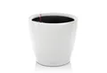 Produktbild: Lechuza® Pflanzkübel Lechuza Pflanztopf Classico LS 21 weiß hochglanz 1