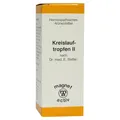Produktbild: Kreislauf Tropfen II 30 ml