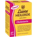 Produktbild: LUVOS Heilerde mikrofein Kapseln 40 ST