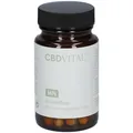 Produktbild: CBD VITAL Darmpflege Kapseln