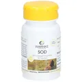 Produktbild: WARNKE SOD
