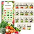 Produktbild: Gemüsesamenset 15 Sorten Samen Saatgut für Gemüse Tomate Zucchini Spinat