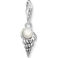 Produktbild: Thomas Sabo Charm Sterling Silver 1891-082-14 88481844