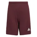 Produktbild: adidas Jungen Squadra 21 Shorts, Team Maroon/White, 13-14 Years