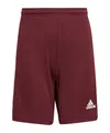 Produktbild: adidas Performance Sporthose Squadra 21 Short Kids