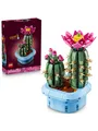 Produktbild: LEGO Botanicals 11509 Blühender Kaktus