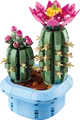 Produktbild: LEGO 11509 - LEGO Botanicals - Blühender Kaktus