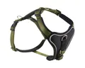 Produktbild: Wolters Hunde-Geschirr Geschirr Professional Comfort olive/schwarz