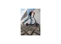 Produktbild: Segway Ninebot KickScooter E2 PRO D