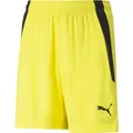 Produktbild: Puma teamLIGA Shorts Jr-704931 (152) (704931_42)