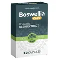 Produktbild: Boswellia Kapseln – reines Boswellia mit 60% Boswelliasäuren 240mg  Weihrauchext