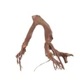 Produktbild: Aquarium Wurzel Deko Talawawurzel Aquascaping Mangroven Echtholz XL Nr.1431