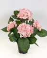 Produktbild: Kunstblume Hortensienbusch Deluxe 42cm im Topf LM Kunstpflanzen künstliche Blumen Hortensie, Seidenblumen Roß, Höhe 42 cm, Rosa