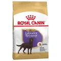 Produktbild: Royal Canin Sterilised Labrador Retriever Adult Hundefutter Trockenfutter 12 kg