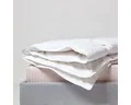Produktbild: Homescapes Gänsedaunenbettdecke Warme Premium Ganzjahres-Daunendecke 135x200 cm – Gänsedaunen, Füllung: 70% Gänsedaunen, 30% Gänsefedern, Außenmaterial: 100 % Baumwolle