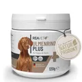 Produktbild: Ulmenrinde Plus - ReaVET